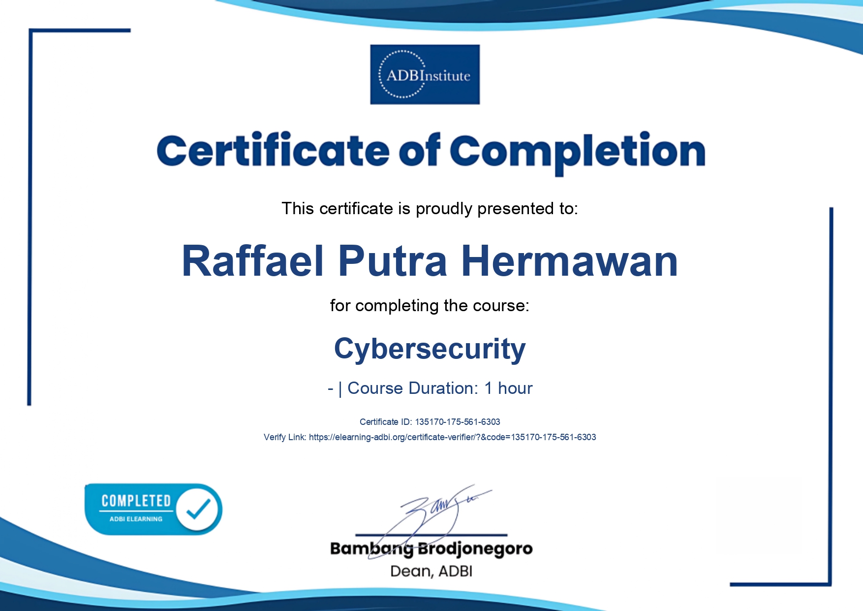 CyberSecurity by ADBI Institute